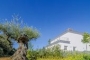 The villa seen from the ever green oak woods